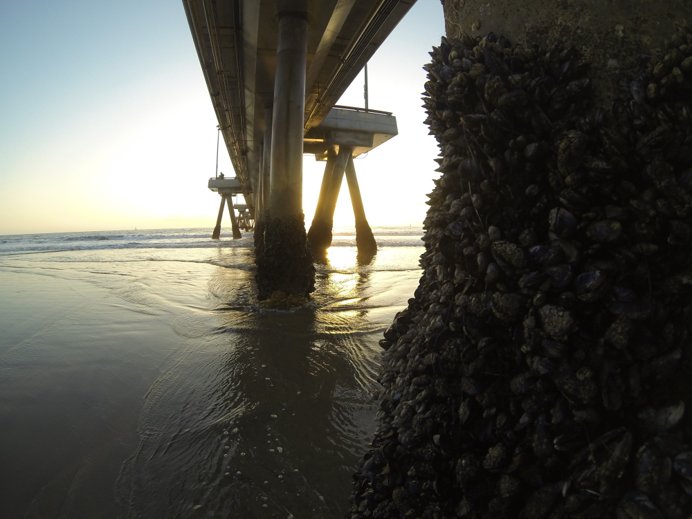 LA to Venice Beach