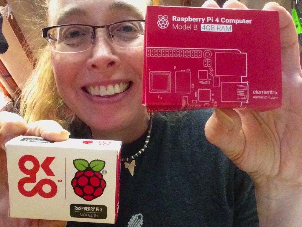 What Is A Raspberry Pi Susannecoates